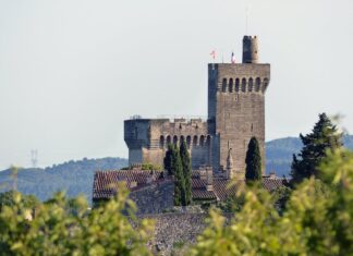 Welke soort herinneringen neemt u mee naar huis met betrekking tot een verblijf in het prachtige landschap van vakantieland frankrijk?
